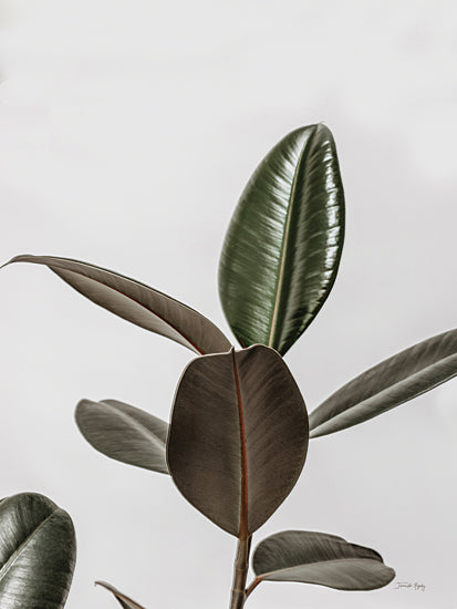Jennifer Rigsby RIG161 - RIG161 - Boho Rubber Tree - 12x16 Rubber Tree Plant, Plant, Green Plant, Botanical from Penny Lane