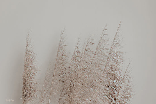 Jennifer Rigsby RIG179 - RIG179 - Pomp Style II - 18x12 Photography, Vase, Pampas Grass, Abstract, Still Life from Penny Lane