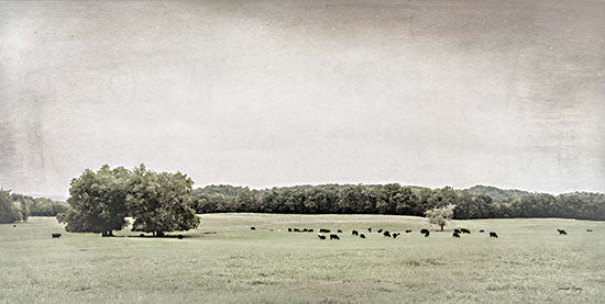 Jennifer Rigsby RIG214 - RIG214 - Green Pastures - 18x9 Photography, Landscape, Pastures, Grazing, Trees, Green Pastures from Penny Lane