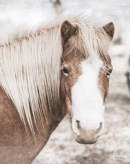Jennifer Rigsby RIG217 - RIG217 - Honey the Pony - 12x16 Photography, Pony, Horse, Portrait, Farm Animal from Penny Lane