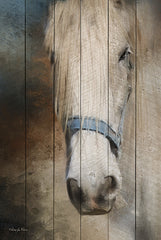 RLV629 - Old Gray Mare - 12x18