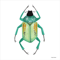 RN325 - Naturally Wonderful Beetle - 12x12
