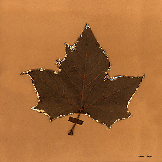 Rachel Nieman RN466 - RN466 - Metallic Leaf - 12x12 Leaf, Metallic Leaf, Gold, Fall, Autumn from Penny Lane