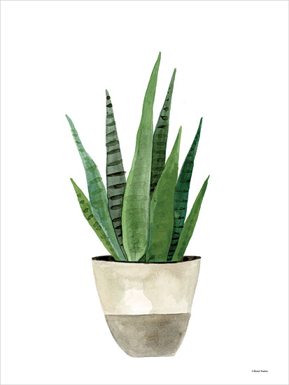 Rachel Nieman RN525 - RN525 - Basket Planter 2 - 12x16 Plant, Green Plant, Potted Plant, Vase, Houseplant from Penny Lane
