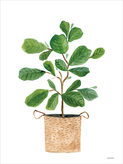 Rachel Nieman RN526 - RN526 - Basket Planter 3 - 12x16 Plant, Green Plant, Potted Plant, Basket, Tropical from Penny Lane