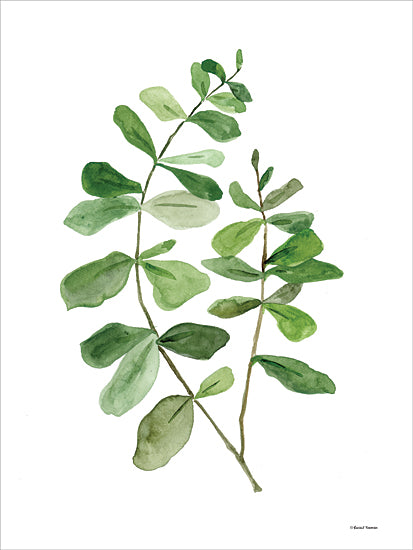 Rachel Nieman RN528 - RN528 - Leafy Stem 2 - 12x16 Greenery, Leaves, Leafy Stem, Watercolor, Botanical from Penny Lane