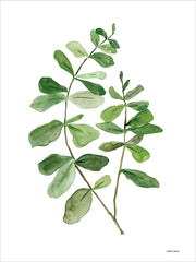 RN528 - Leafy Stem 2 - 12x16