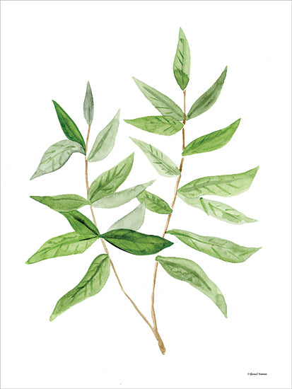 Rachel Nieman RN529 - RN529 - Leafy Stem 3 - 12x16 Greenery, Leaves, Leafy Stem, Watercolor, Botanical from Penny Lane
