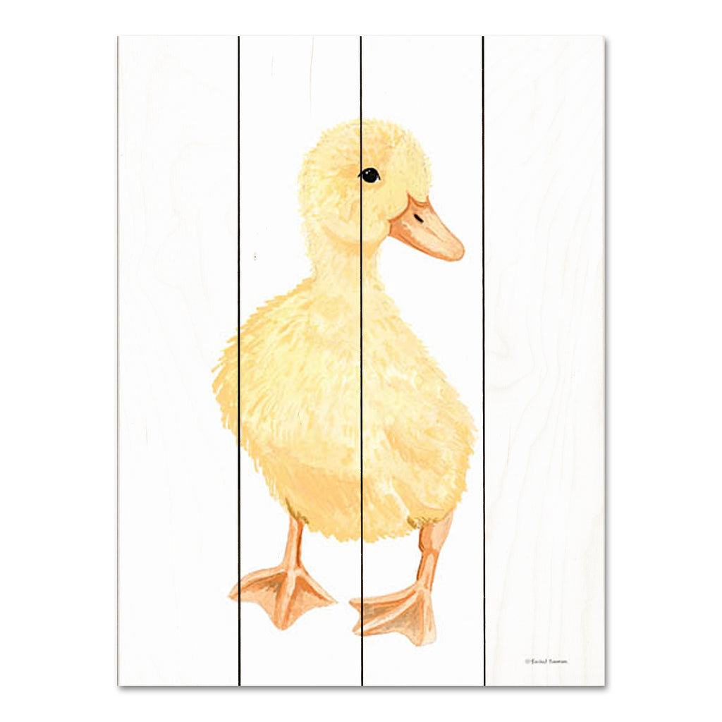 Rachel Nieman RN531PAL - RN531PAL - Adorable Fluffy Duckling - 12x16  from Penny Lane