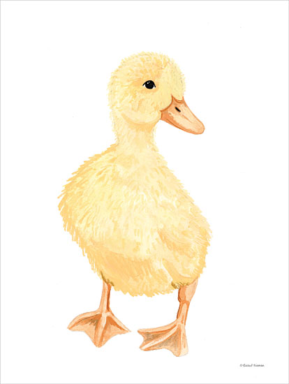 Rachel Nieman RN531 - RN531 - Adorable Fluffy Duckling - 12x16 Baby, Baby's Room, Duck, Baby Duckling, Spring, Decorative from Penny Lane