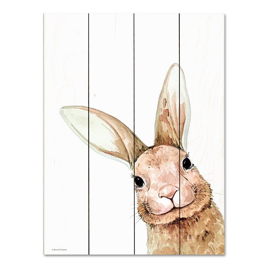Rachel Nieman RN532PAL - RN532PAL - Fluffy Peekaboo Bunny - 12x16  from Penny Lane
