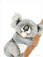 RN533 - Cuddles the Koala - 12x16