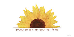SB1114 - You Are My Sunshine - 18x9