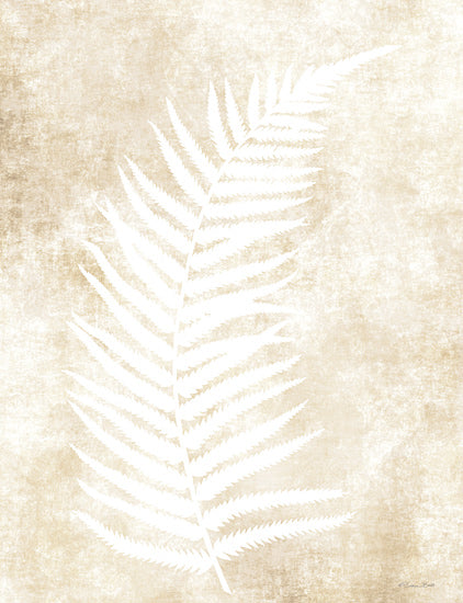 Susan Ball SB1118 - SB1118 - Fern Frond 2 - 12x16 Ferns, Leaves, Frond, Neutral Palette, Botanical from Penny Lane
