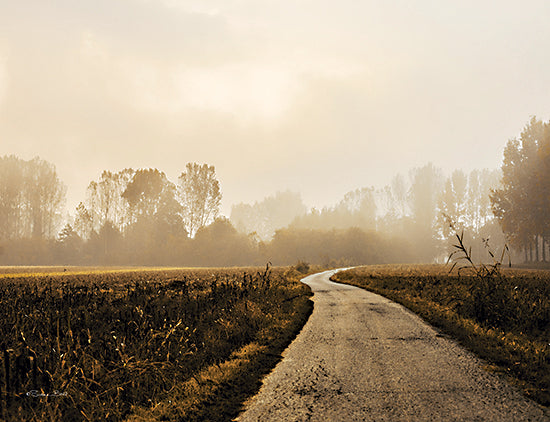 Susan Ball SB1141 - SB1141 - Country Road    - 16x12 Country Road, Road, Path, Landscape, Photography, Trees from Penny Lane