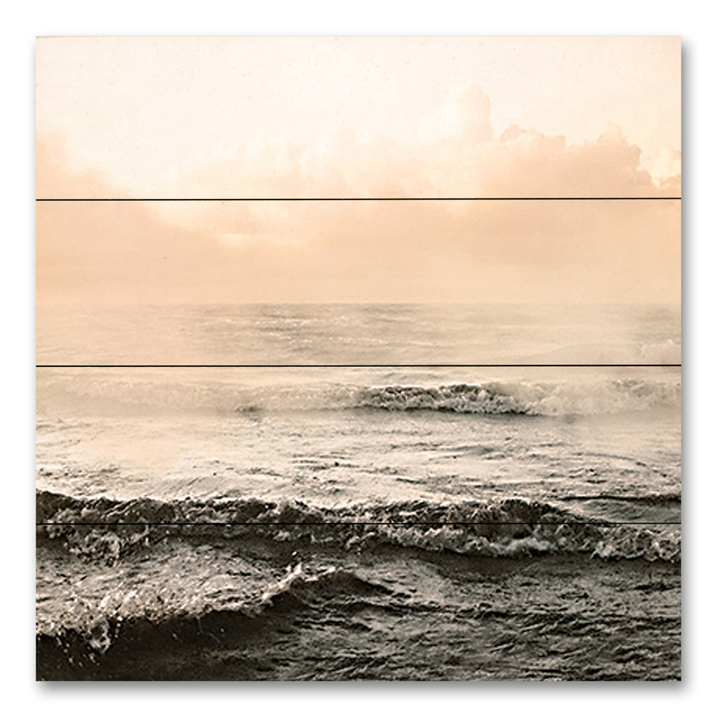Susan Ball SB1142PAL - SB1142PAL - Moody Ocean - 16x12 Coastal, Landscape, Ocean, Waves, Fog, Weather, Photography from Penny Lane