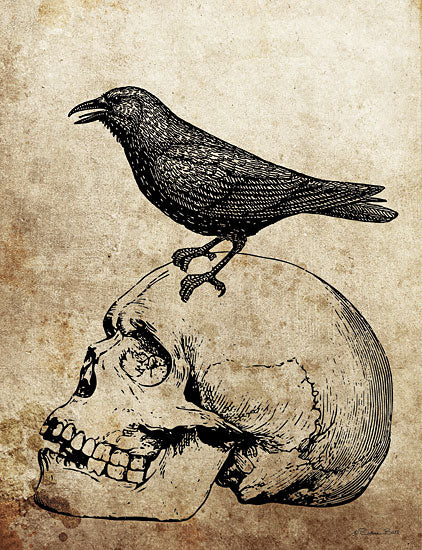 Susan Ball SB1247 - SB1247 - Skull Crow - 12x16 Halloween, Skull, Crow, Bird, Sketch, Drawing Print, Sepia Background from Penny Lane