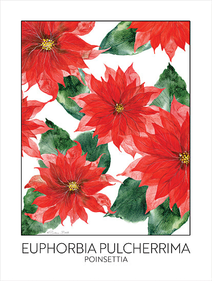 Susan Ball SB1355 - SB1355 - Poinsettia - 12x16 Christmas, Holidays, Flowers, Poinsettia, Euphorbia Pulcherrima Poinsettia, Typography, Signs, Textual Art, Red, Green from Penny Lane