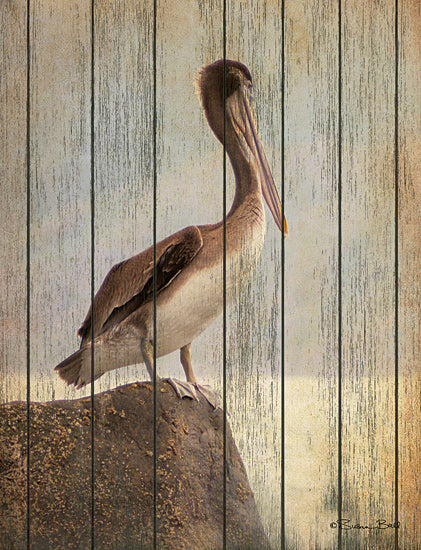Susan Ball SB685 - SB685 - Vintage Pelican II - 12x16 Wood Planks, Pelican, Ocean, Nautical, Portrait, Vintage, Photography from Penny Lane
