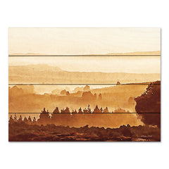 SB970PAL - Sunset Over Forest - 16x12