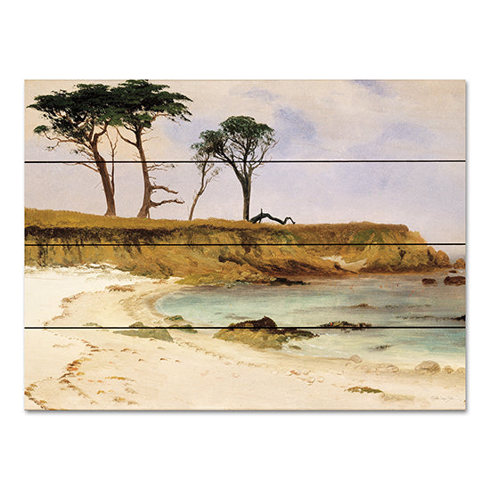 Stellar Design Studio SDS1034PAL - SDS1034PAL - Along the Coast - 16x12 Coastal, Landscape, Ocean, Beach, Sand, Coast from Penny Lane