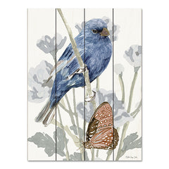 SDS1050PAL - Bird and Butterfly - 12x16