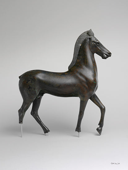 Stellar Design Studio SDS1068 - SDS1068 - Roman Horse Statue 1 - 12x16 World Culture, Statue, Roman Horse, Photography, Black & White from Penny Lane