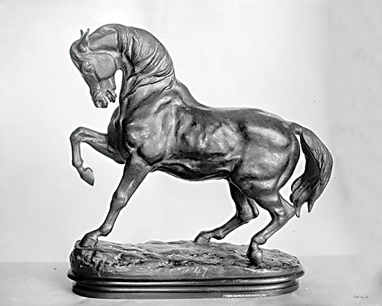 Stellar Design Studio SDS1069 - SDS1069 - Roman Horse Statue 2 - 16x12 World Culture, Statue, Roman Horse, Photography, Black & White from Penny Lane