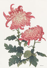 SDS1105 - Pink Floral 3 - 12x18