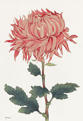SDS1106 - Pink Floral 4 - 12x18