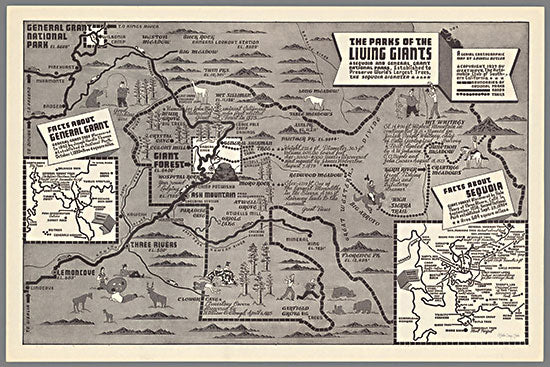 Stellar Design Studio SDS1132 - SDS1132 - General Grant National Park Map - 18x12 Travel, National Parks Map, Map, General Grant National Park, Vintage, Typography, Signs, Textual Art, Photography, Leisure, Black & White from Penny Lane