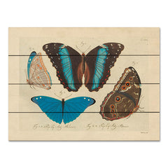 SDS1172PAL - Vintage Butterflies 1 - 16x12