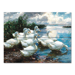 SDS1176PAL - Ducks by the Lake 1 - 16x12