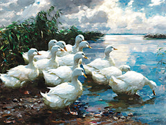 SDS1176 - Ducks by the Lake 1 - 16x12
