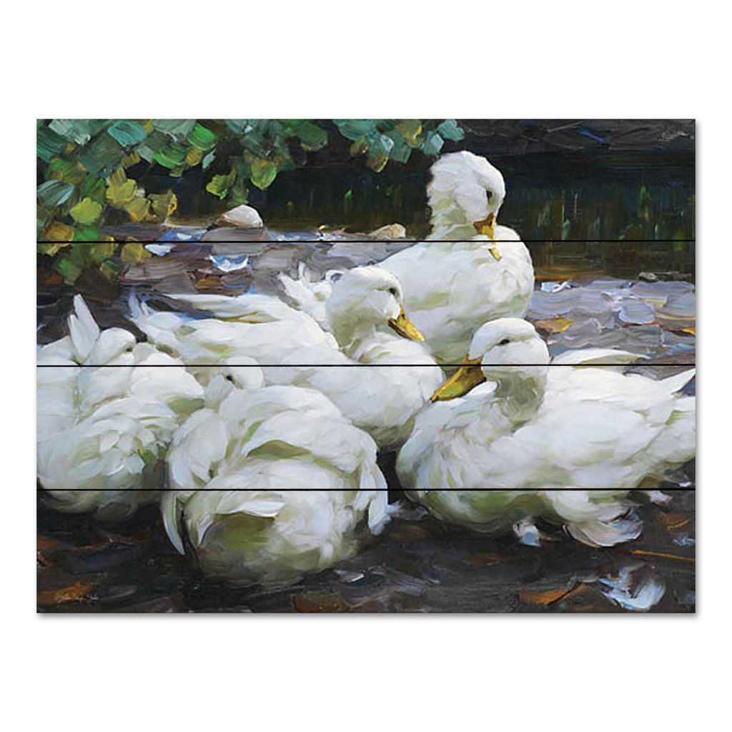 Stellar Design Studio SDS1177PAL - SDS1177PAL - Ducks by the Lake 2 - 16x12 Ducks, Lake, Landscape, Summer, Traditional, Raft of Ducks from Penny Lane