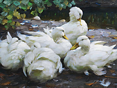 SDS1177 - Ducks by the Lake 2 - 16x12