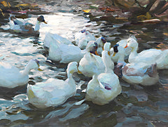 SDS1178 - Ducks by the Lake 3 - 16x12