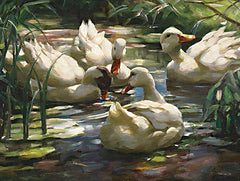 SDS1179 - Ducks by the Lake 4 - 16x12