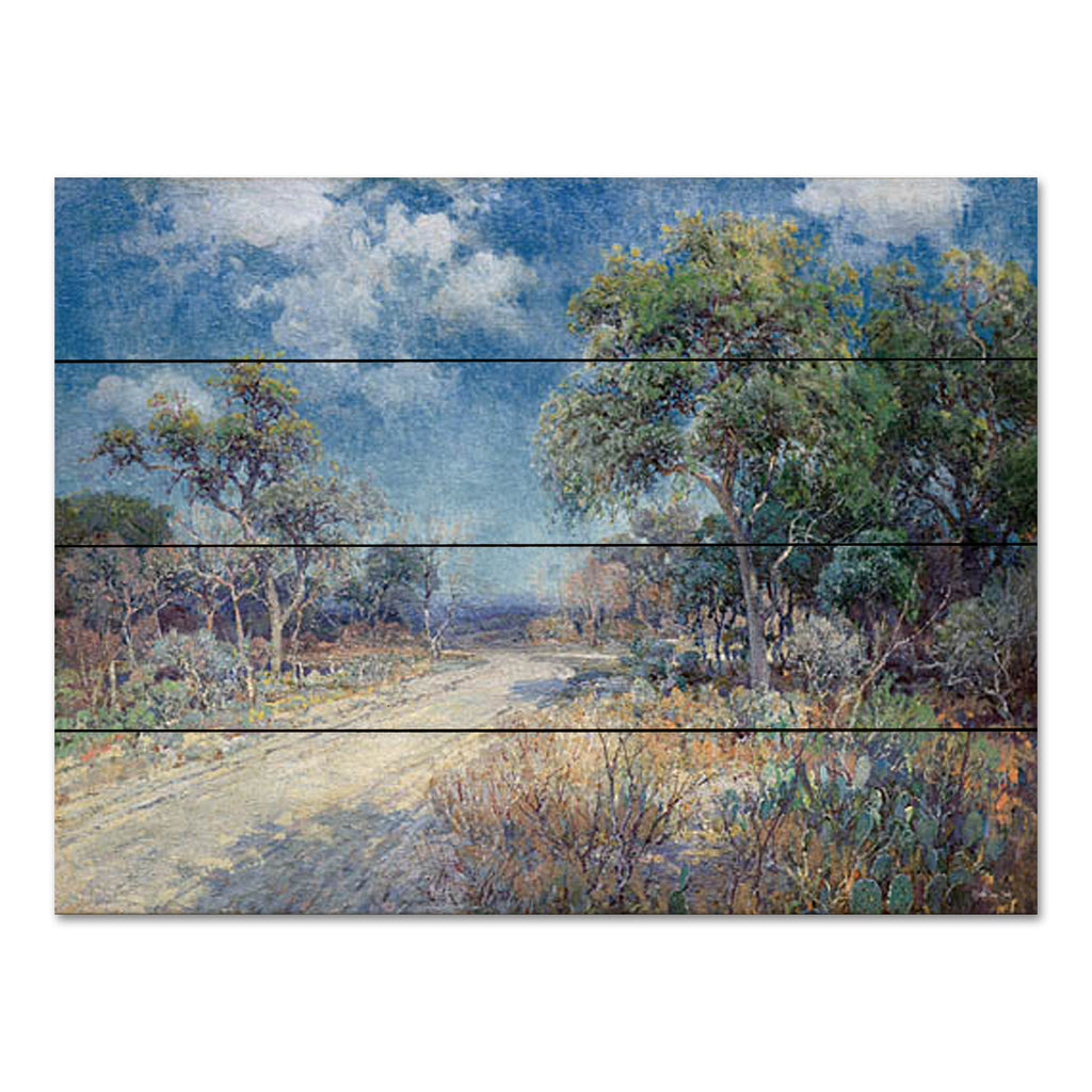 Stellar Design Studio SDS1194PAL - SDS1194PAL - Road to the Hills - 16x12 Landscape, Path, Trees, Nature, Shadows, Clouds from Penny Lane