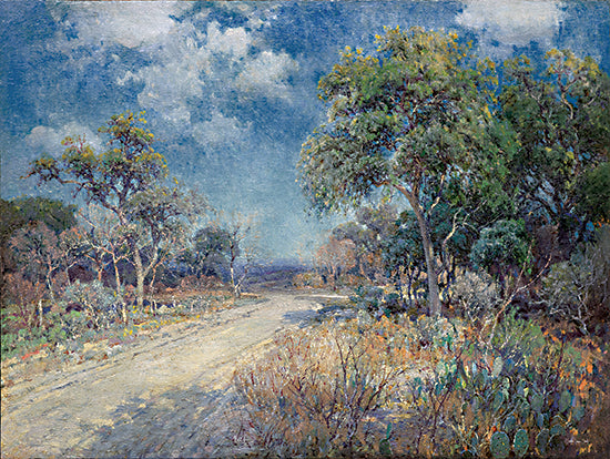 Stellar Design Studio SDS1194 - SDS1194 - Road to the Hills - 16x12 Landscape, Path, Trees, Nature, Shadows, Clouds from Penny Lane