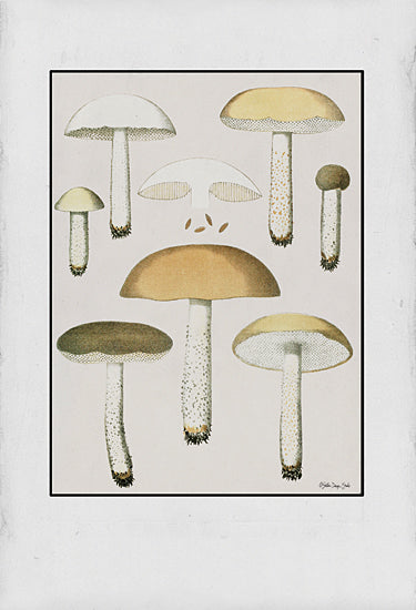 Stellar Design Studio SDS1234 - SDS1234 - Mushroom Study - 12x18 Mushroom, Mushroom Study, Chart, Nature, Framed Art from Penny Lane