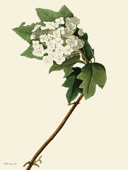 SDS1245 - Vintage Flower Bloom  - 12x16