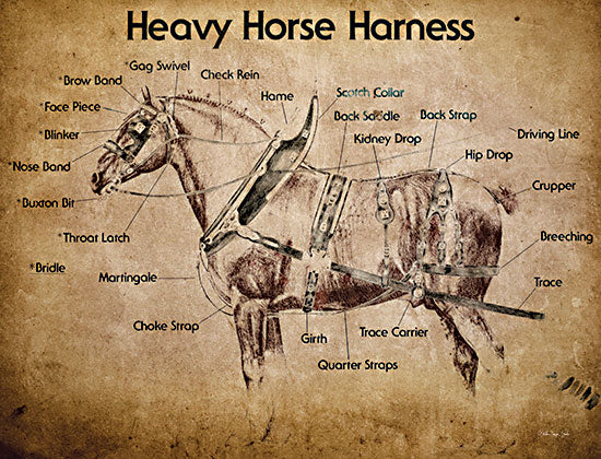 Stellar Design Studio SDS1255 - SDS1255 - Heavy Horse Harness - 16x12 Horse, Horse Harness, Chart, Diagram, Topography, Signs, Textual Art from Penny Lane