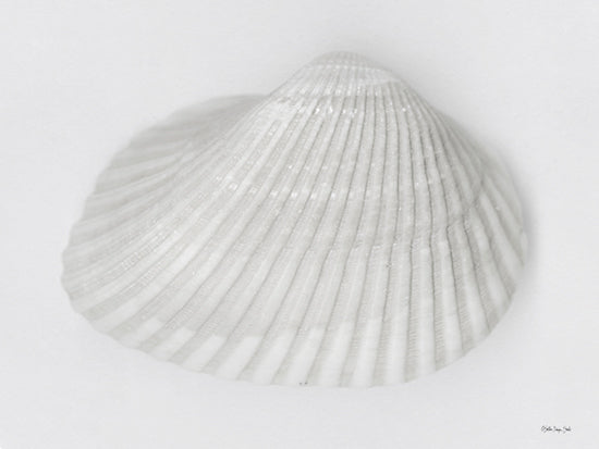 Stellar Design Studio SDS1287 - SDS1287 - Soft Scallop 2 - 16x12 Coastal, Shell, Scallop Shell, White from Penny Lane