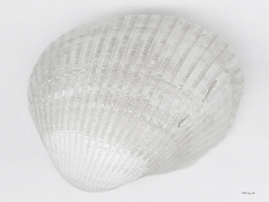 Stellar Design Studio SDS1289 - SDS1289 - Soft Scallop 4 - 16x12 Coastal, Shell, Scallop Shell, White from Penny Lane