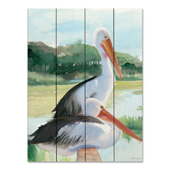 SDS1326PAL - Pelicans by the Bay 1 - 12x16