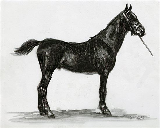 Stellar Design Studio SDS132 - SDS132 - Horse Study 3 - 16x12 Horse, Black & White, Study from Penny Lane