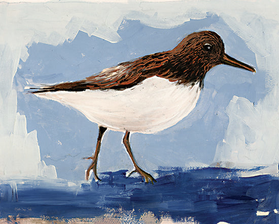 Stellar Design Studio SDS1331 - SDS1331 - Sandpiper 1 - 16x12 Coastal, Coastal Birds, Bird, Sandpiper, Abstract, Watercolor from Penny Lane