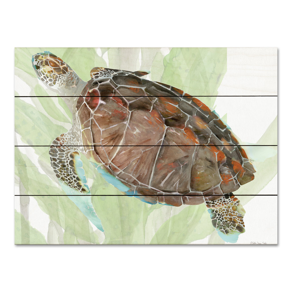 Stellar Design Studio SDS1334PAL - SDS1334PAL - Squirtle the Sea Turtle - 16x12  from Penny Lane