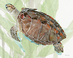 SDS1334 - Squirtle the Sea Turtle - 16x12